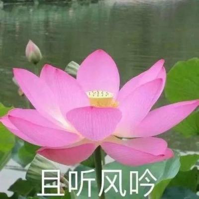 江西省“劳模工匠进校园”行动全国示范活动举行